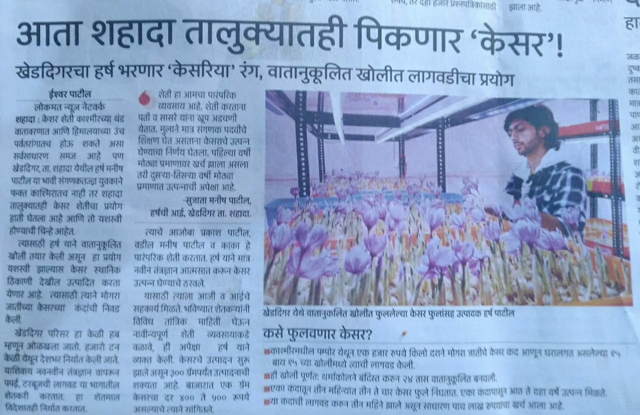 Lokmat newspaper feature on Harsh Patil sir's saffron farm